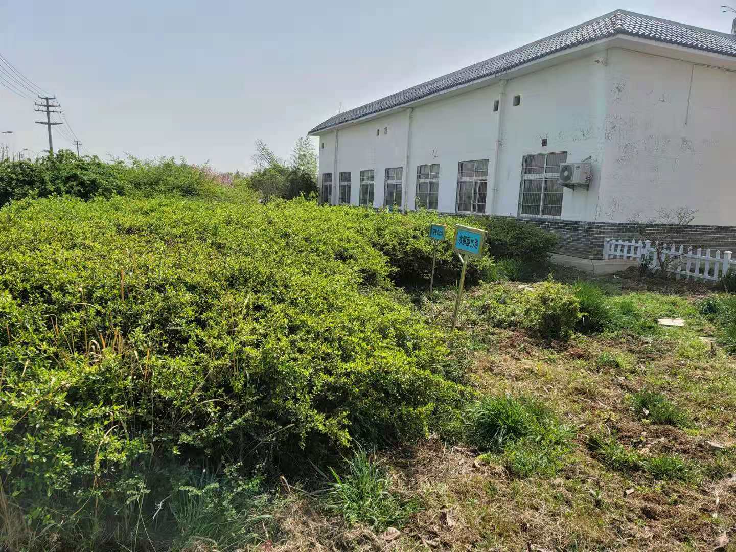 蘭陵縣人民醫院醫院污水處理